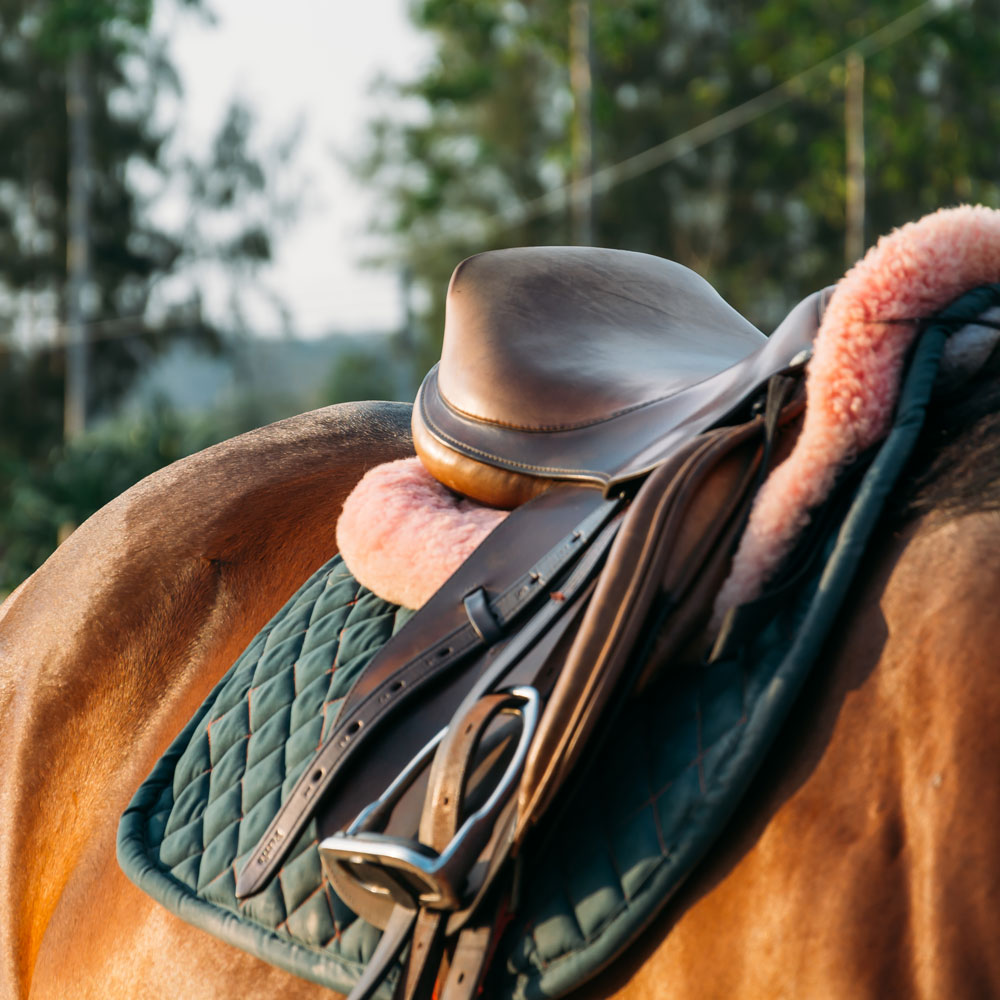 horse-riding-lessons-stanton-mount-inn